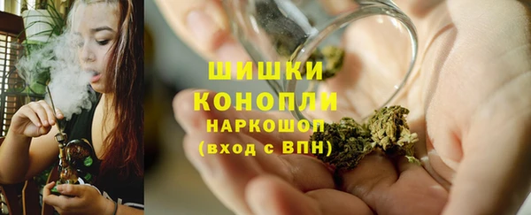 Альфа ПВП Горняк