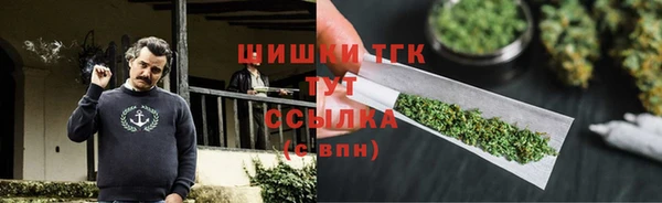 Альфа ПВП Горняк