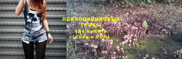 ECSTASY Горнозаводск