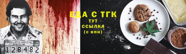 Альфа ПВП Горняк