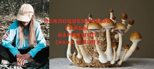 ALPHA-PVP Горно-Алтайск